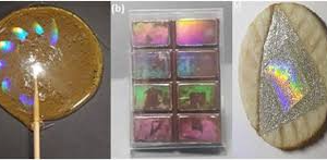 Biodegradable Shellac and Synthetic Resin Based moulded Products